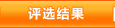 评选结果